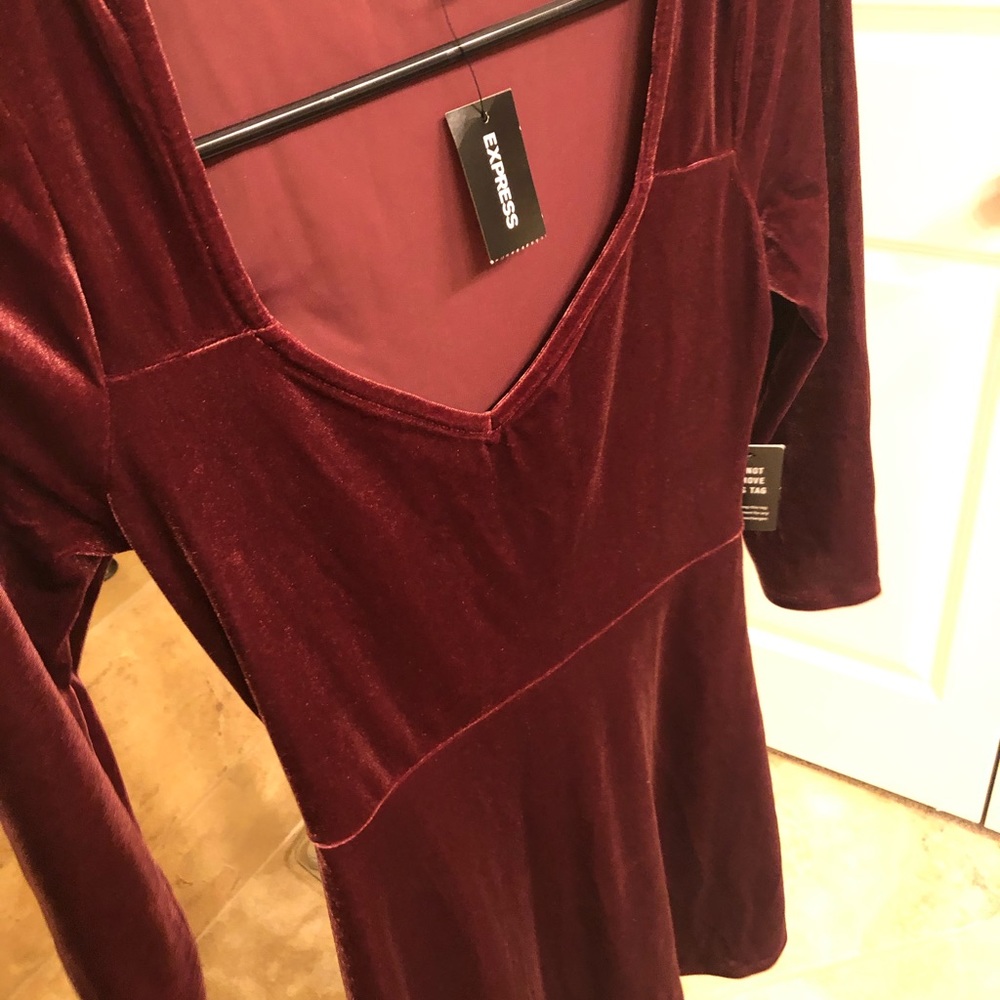 Express Dress - Picture 3 of 4